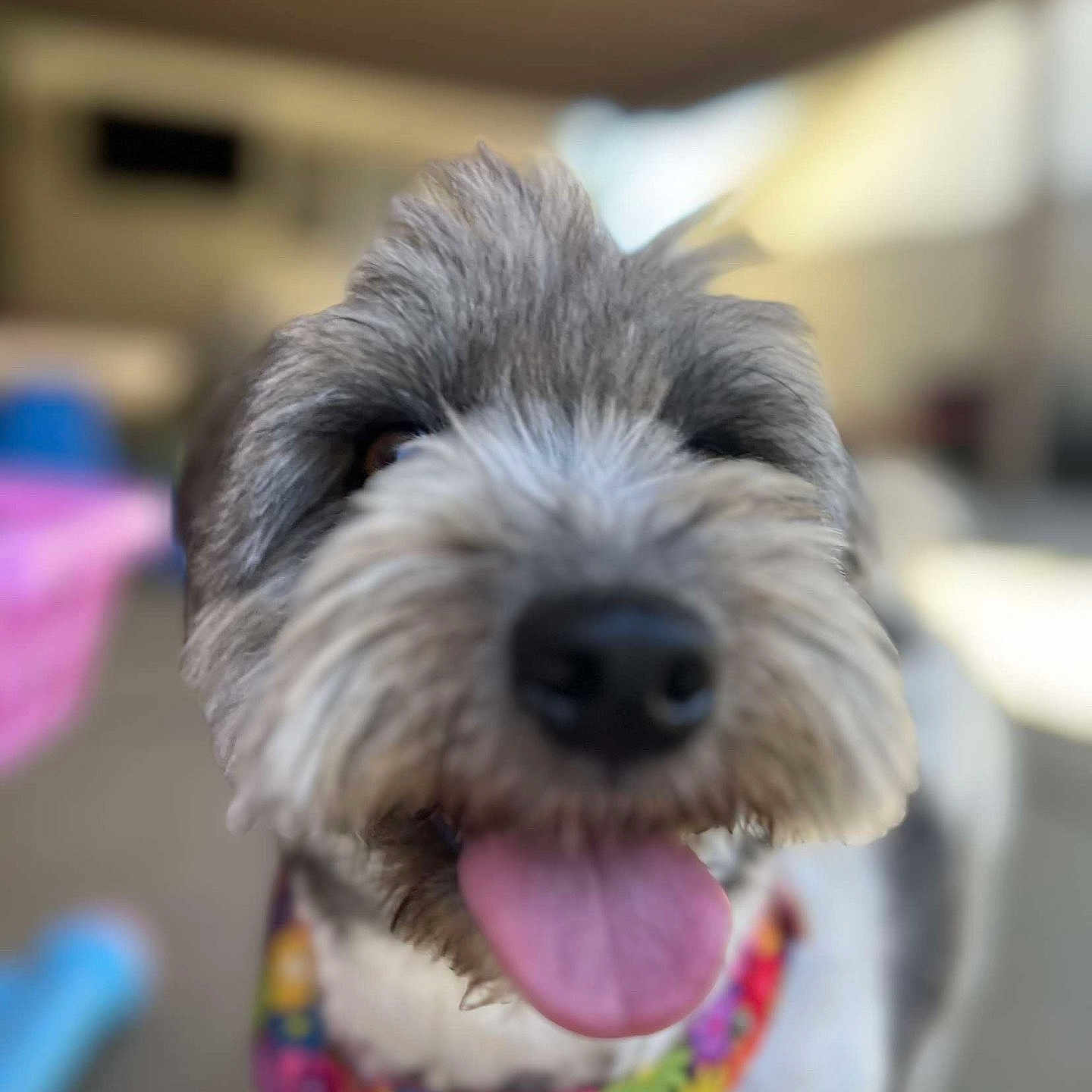 Mocha