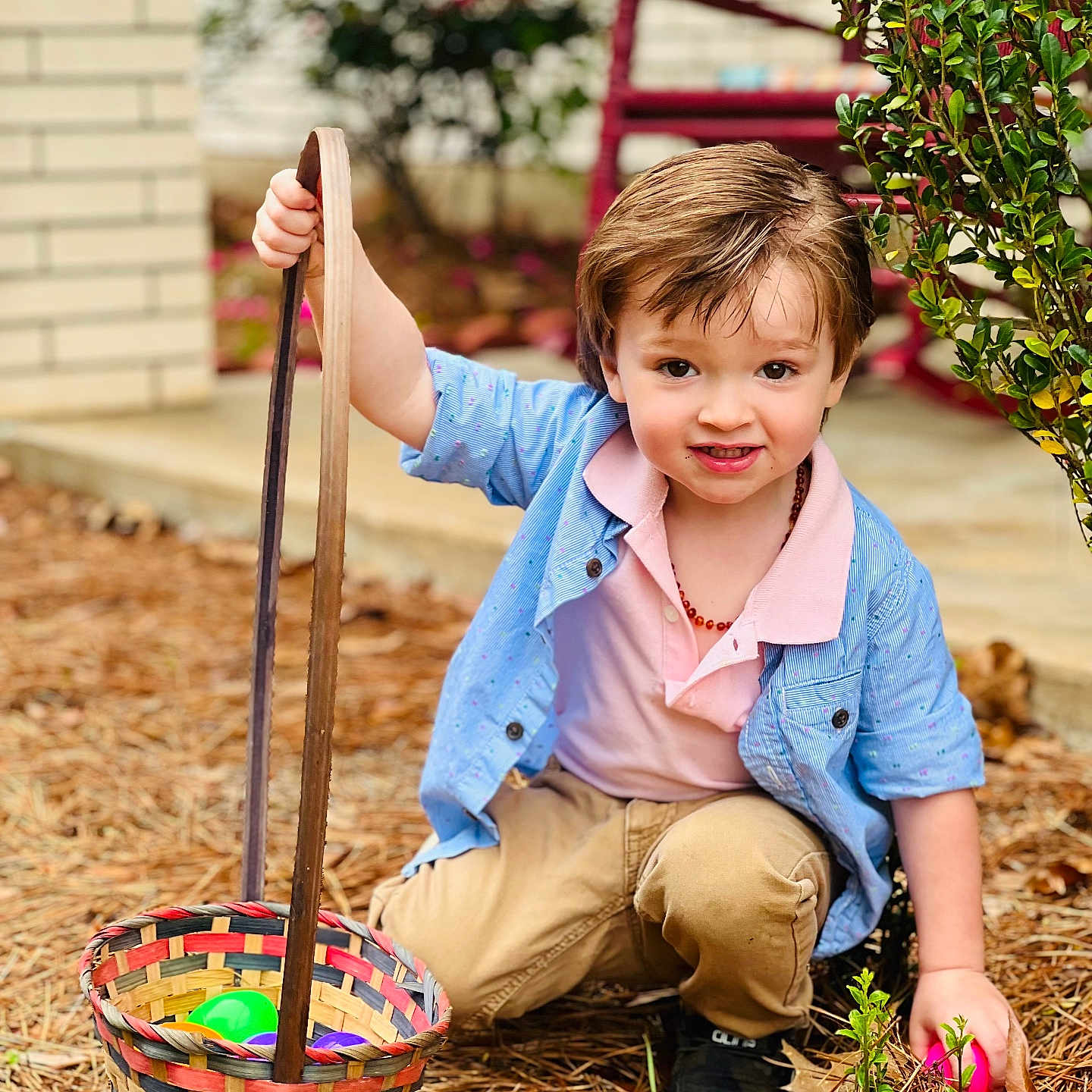 Jasper joined the competition — help win amazing prizes! basket, boy, child, clothing, face, garden, gardening, grass, head, herbal, herbs, male, nature, outdoors, pants, person, photography, plant, portrait, sitting