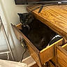 Debo is registered to the contest to win money with this photo: black_cat, cat, drawer, wooden_furniture, television, tongue_out, indoor, floor, slipper, paper, clutter, corner, home, domestic, pet, feline, resting, curiosity, small_space, cozy