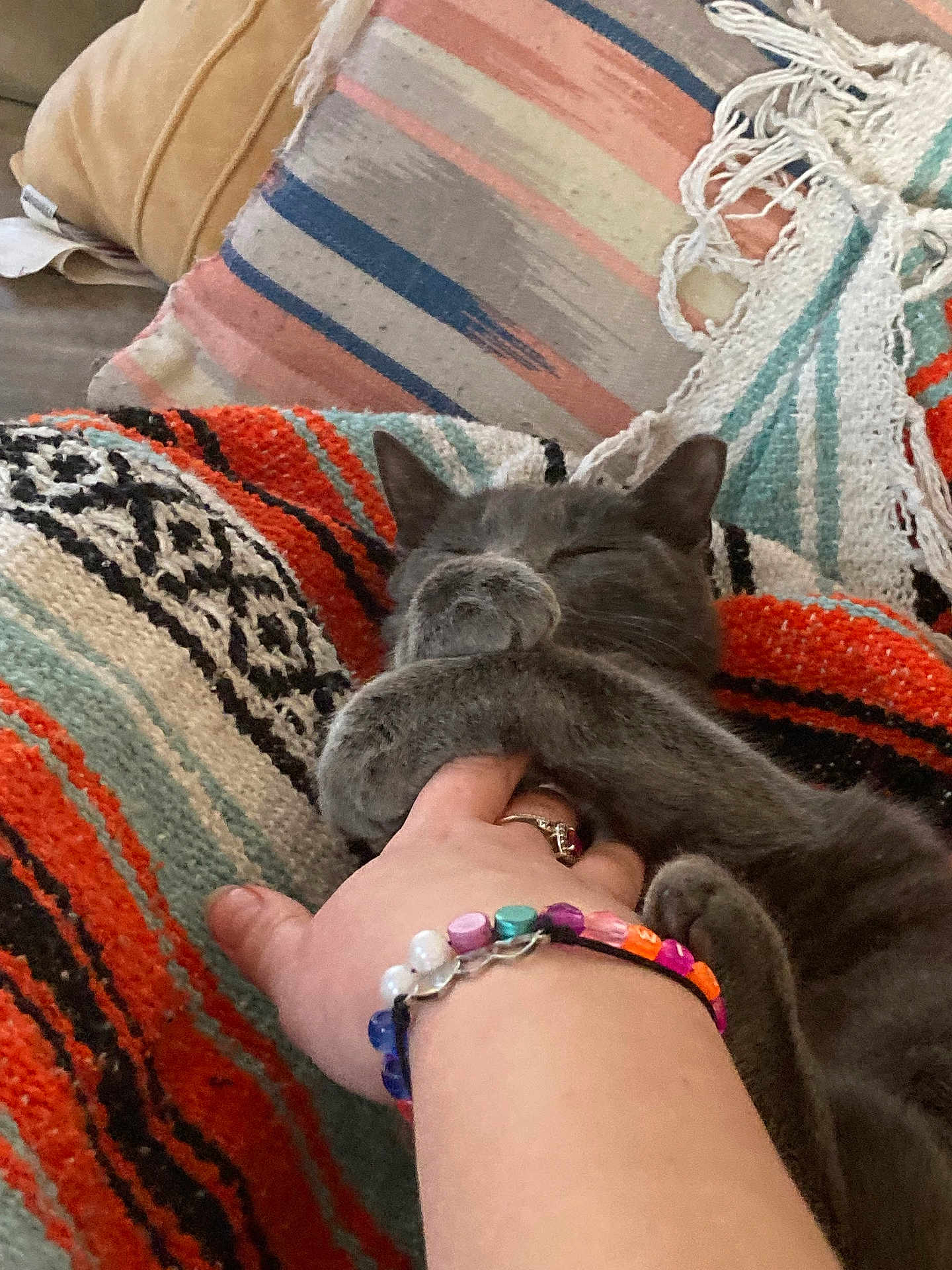 Luna Moon