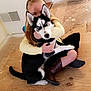 girl, child, puppy, dog, siberian_husky, indoor, floor, hugging, sitting, yellow_sweater, brown_boots, wooden_floor, blue_eyes, pet, cute, affection, home, portrait, smile, friendship