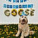 Goose