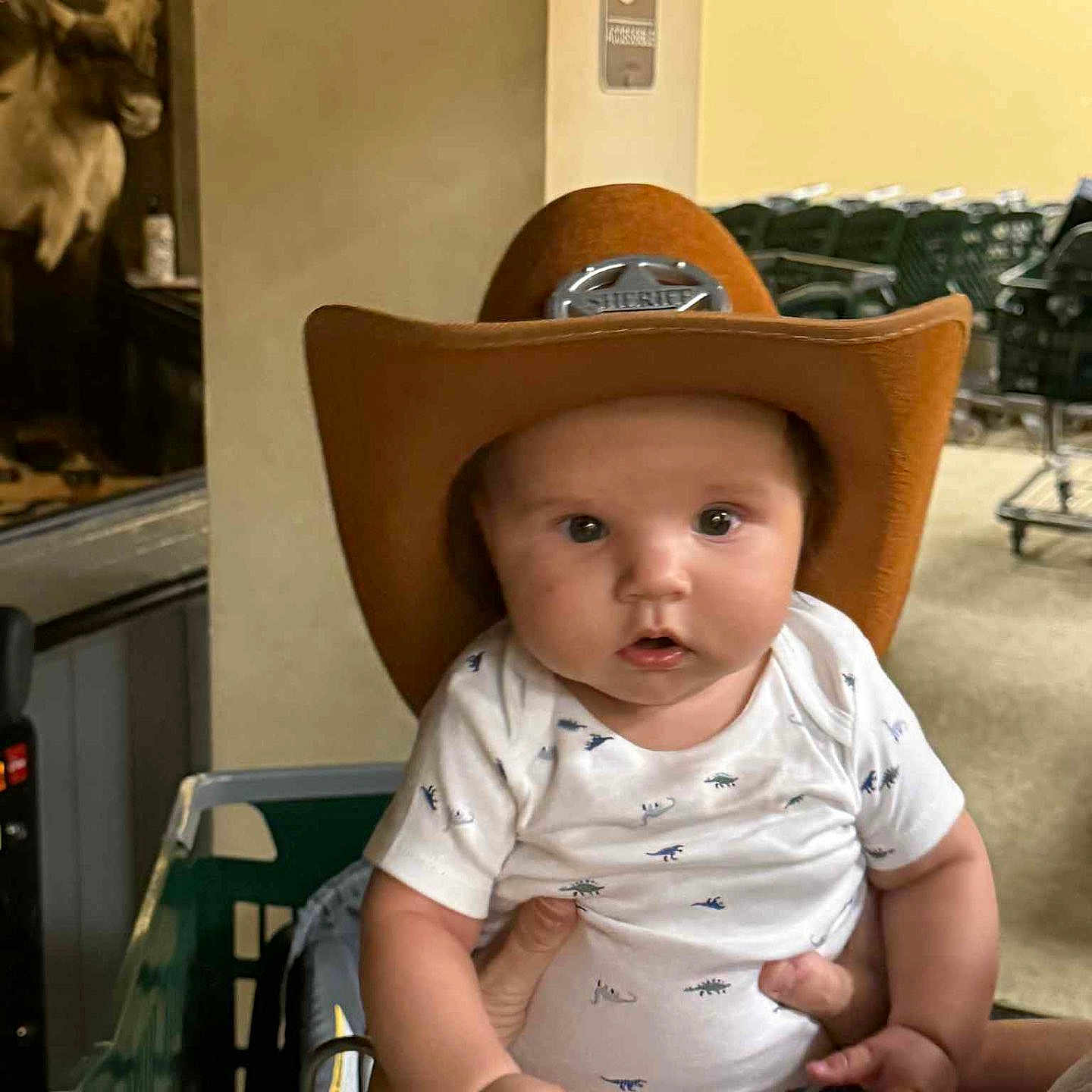 Murdok is registered to the contest to win money with this photo: animal_mount, baby, blue_shorts, child, clothing, cowboy_hat, curious, cute, deer_head, expression, face, hand, holding_hand, indoor, infant, person, sheriff, shopping_cart, short_sleeve, white_shirt