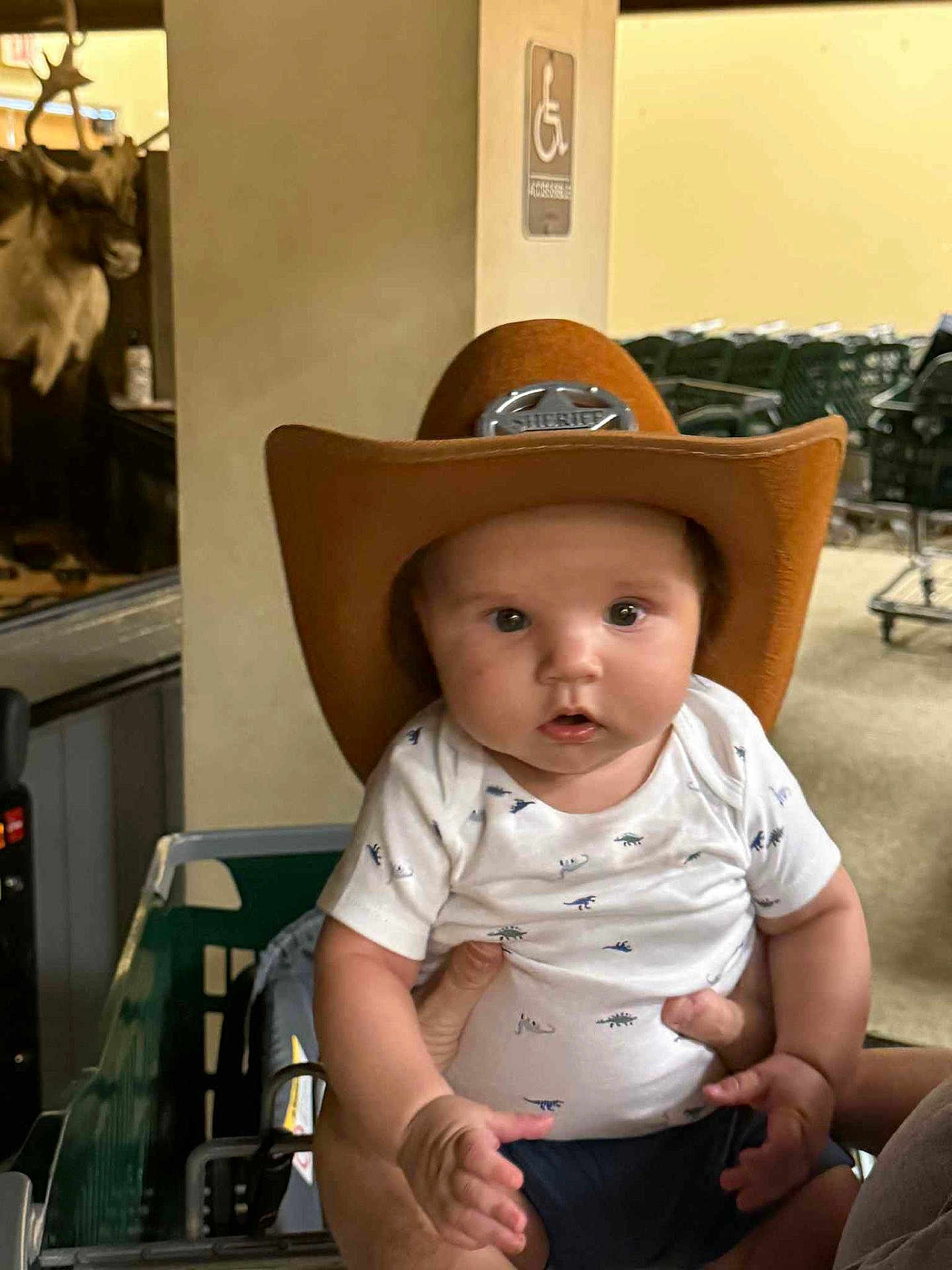 Murdok is registered to the contest to win money with this photo: baby, child, cowboy_hat, sheriff, person, indoor, shopping_cart, deer_head, animal_mount, clothing, curious, holding_hand, face, cute, infant, short_sleeve, white_shirt, blue_shorts, hand, expression