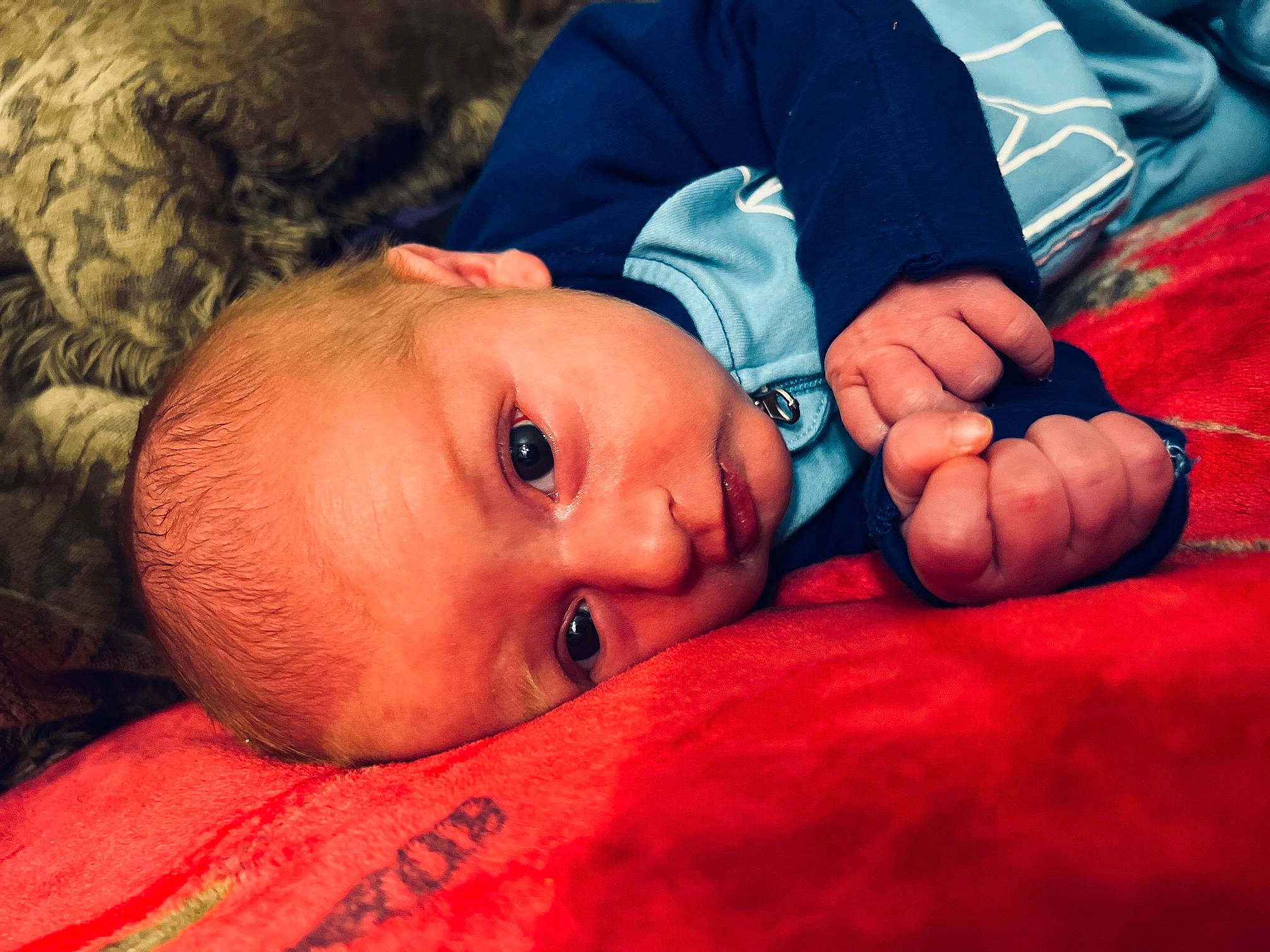 Kyson is registered to the contest to win money with this photo: arm, baby, cheek, child, comfort, cool, eye, eyelash, finger, flash_photography, fun, gesture, happy, human_body, iris, lip, mouth, nose, person, skin