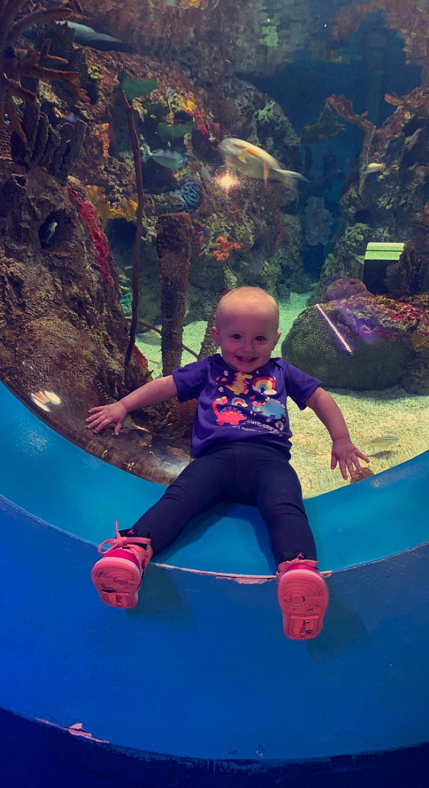 Evelynn is registered to the contest to win money with this photo: aqua, aquarium, azure, chute, cool, electric_blue, fun, happy, joy, leisure, magenta, outdoor_play_equipment, person, pink, play, recreation, t_shirt, toddler, underwater, vertebrate