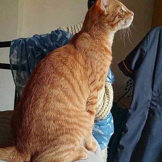 Theo joined the competition — help win amazing prizes!