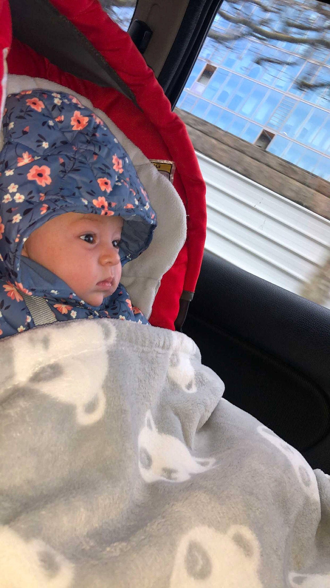 Maïssa participe au concours pour gagner de l'argent avec cette photo : baby, baby_products, baby_toddler_clothing, beanie, cap, cheek, child, comfort, freezing, fun, fur, headgear, headwear, hood, knit_cap, outerwear, person, snow, textile, toddler