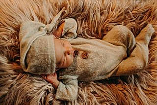 Mac joined the competition — help win amazing prizes! beard, canidae, comfort, dog_breed, eye, fawn, felidae, fur, gesture, grass, liver, natural_material, person, snout, sporting_group, terrestrial_animal, textile, whiskers, wildlife, working_animal