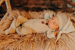 Mac is registered to the contest to win money with this photo: child, comfort, companion_dog, dog_breed, fawn, felidae, fur, grass, hat, headwear, paw, person, plant, small_to_medium_sized_cats, snout, sporting_group, tail, terrestrial_animal, toy, whiskers