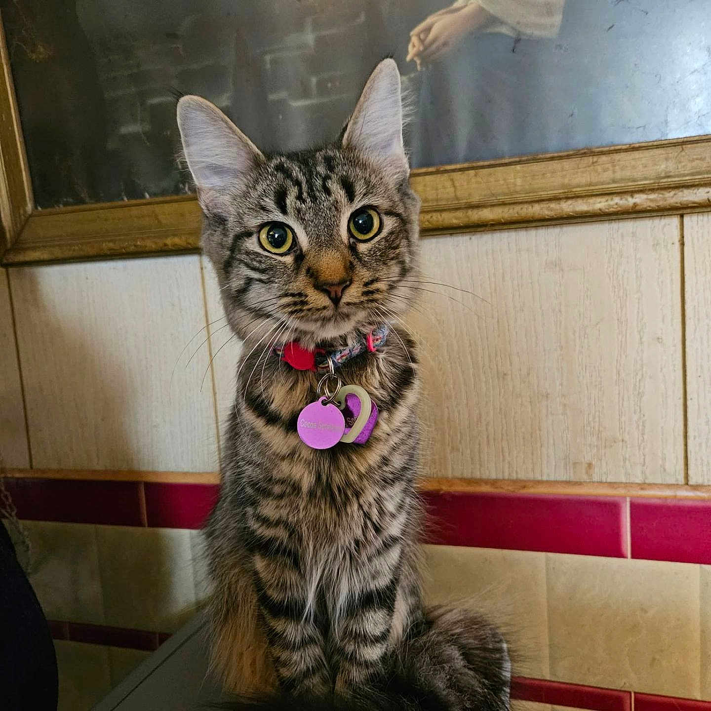 Cocoa