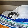 animal, bed, bedding, blanket, cat, comfort, curious, cute, domestic_animal, feline, fur, gray, headboard, indoor, pet, resting, striped, wall, white, yellow_eyes