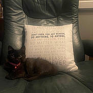 Luna is registered to the contest to win money with this photo: animal, armchair, bell, black_cat, cat, collar, cozy, dark_lighting, eyes, furniture, home_decor, indoors, leather_chair, living_room, pet, pillow, portrait, sitting, text, whiskers