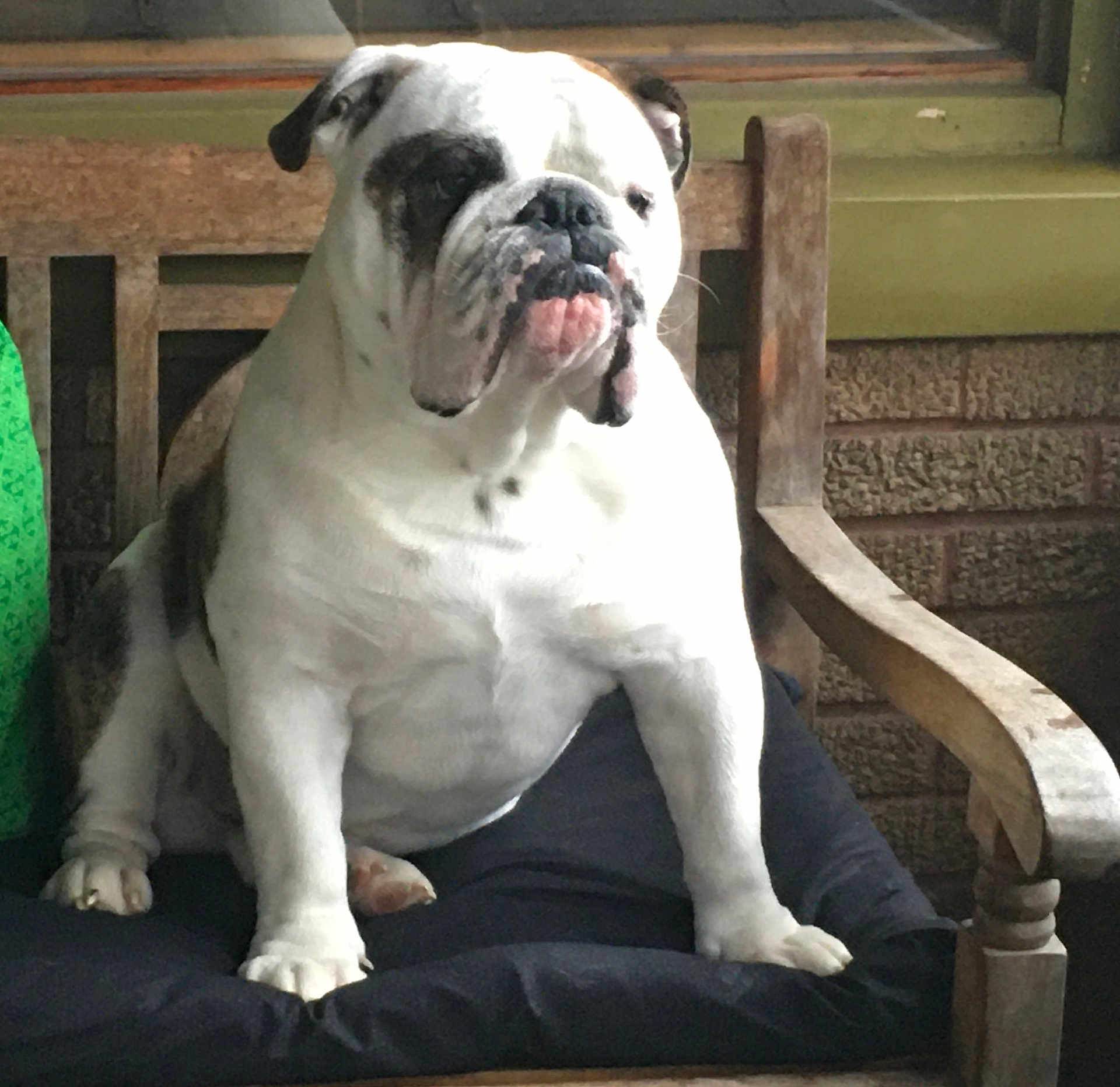 Django