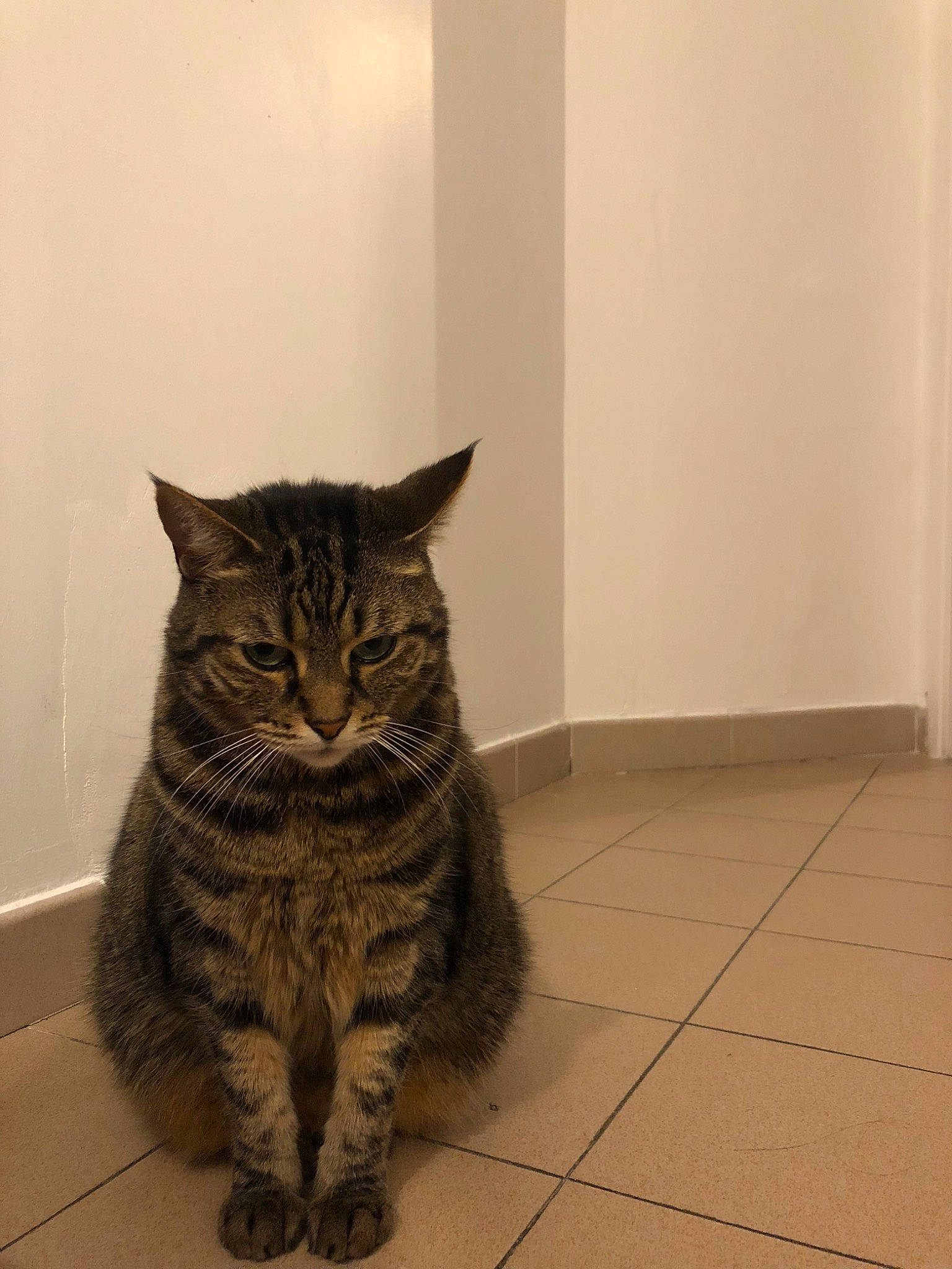 Lili