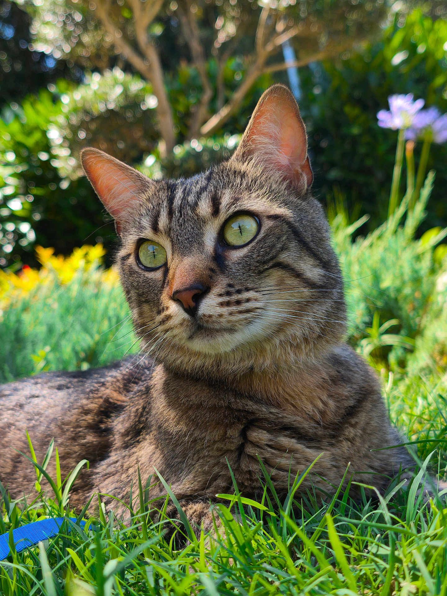 Prince