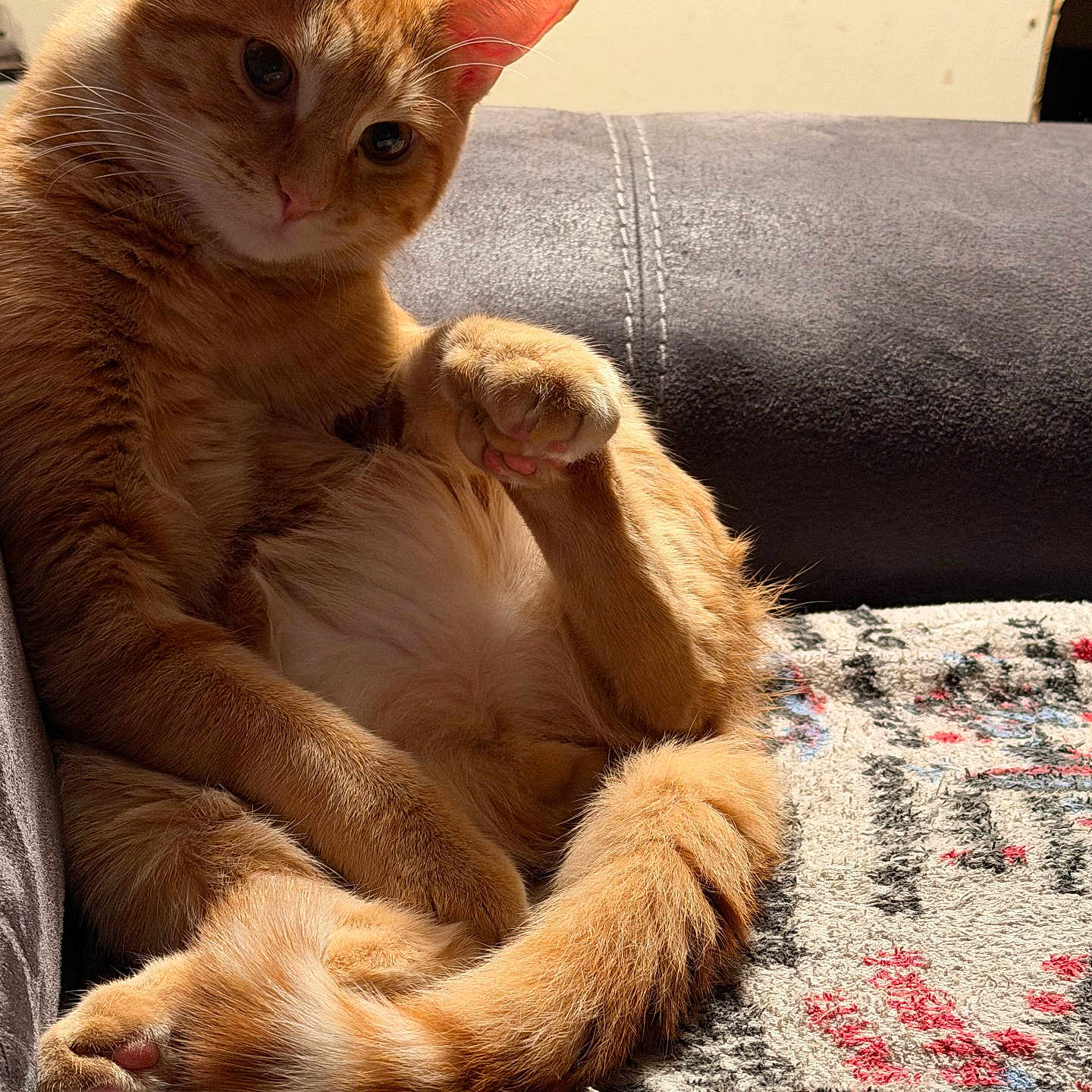 Gizmo