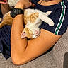 Moky participe au concours pour gagner de l'argent avec cette photo : kitten, cat, sleeping, arm, person, shirt, watch, couch, relaxed, nap, orange_and_white, feline, pet, domestic_animal, indoor, cozy, comfort, rest, striped_shirt, casual