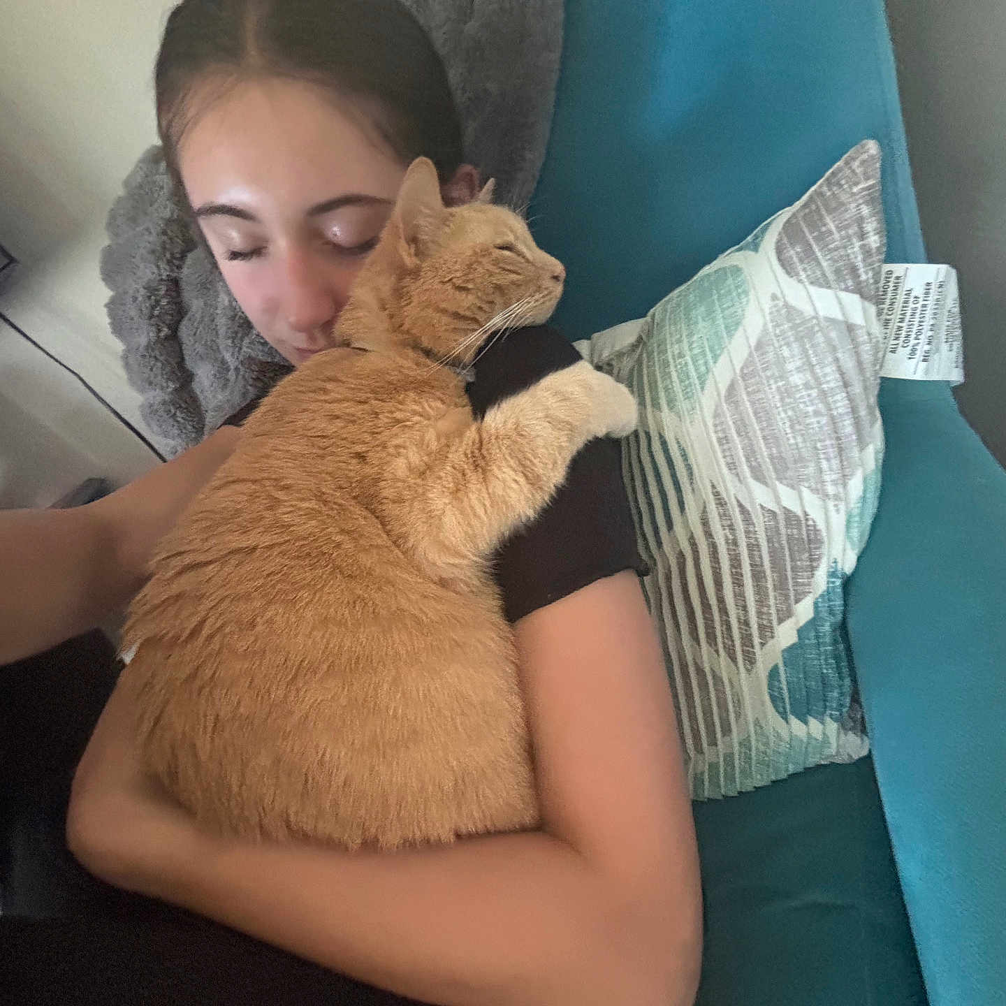 Ginger is registered to the contest to win money with this photo: adult, animal, cat, computerhardware, couch, cushion, electronics, face, female, furniture, hardware, head, homedecor, monitor, person, pet, screen, sleeping, tv, woman