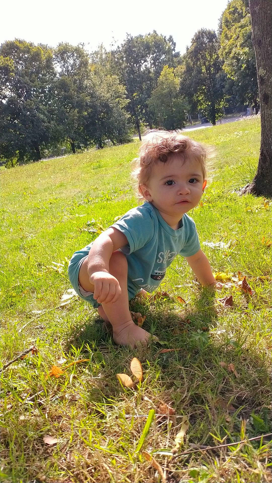 Mylo a rejoint le concours — aidez-le/la à gagner de superbes lots ! baby_toddler_clothing, botany, child, garden, grass, grass_family, grassland, groundcover, happy, landscape, lawn, meadow, people_in_nature, person, plant, summer, sunlight, t_shirt, terrestrial_plant, toddler