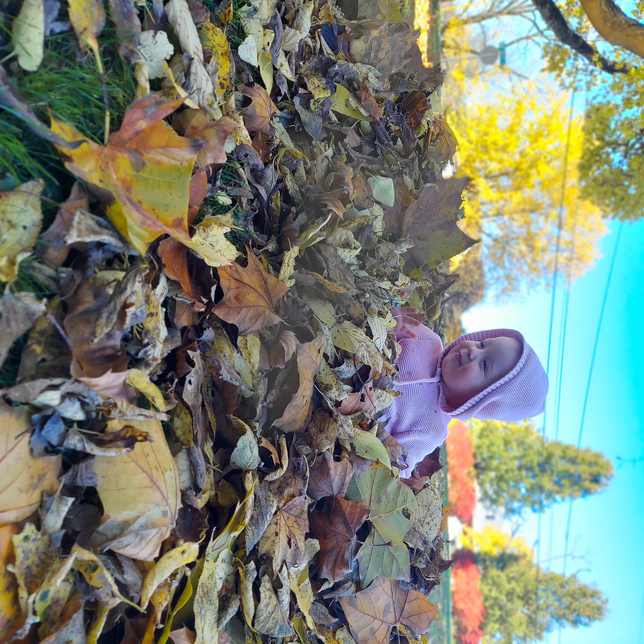 Alani joined the competition — help win amazing prizes! autumn, camouflage, deciduous, electric_blue, eyewear, flowering_plant, groundcover, hat, headwear, northern_hardwood_forest, people_in_nature, person, plant, sky, sunglasses, tree, trunk, twig, wood, woody_plant