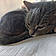 Louna