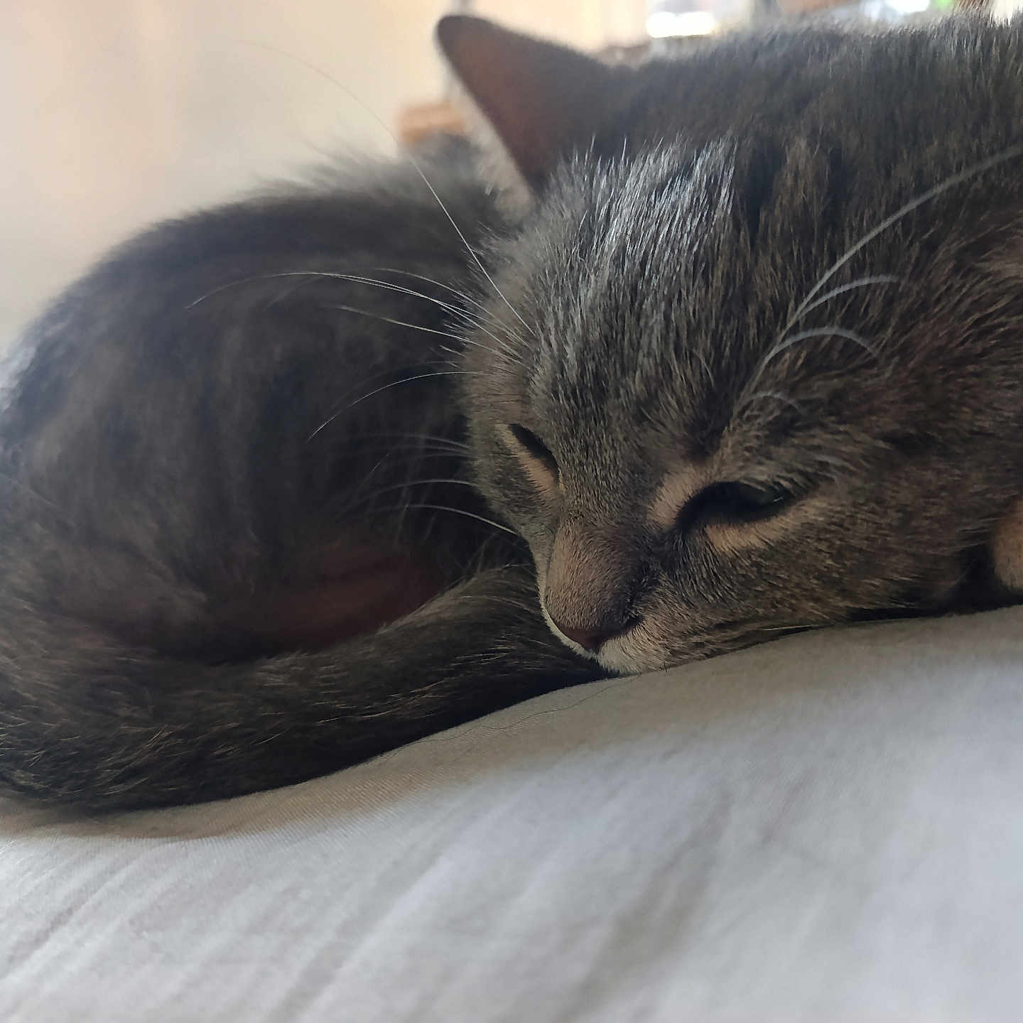 Louna