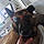 Filou