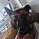 Filou