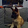 Filou