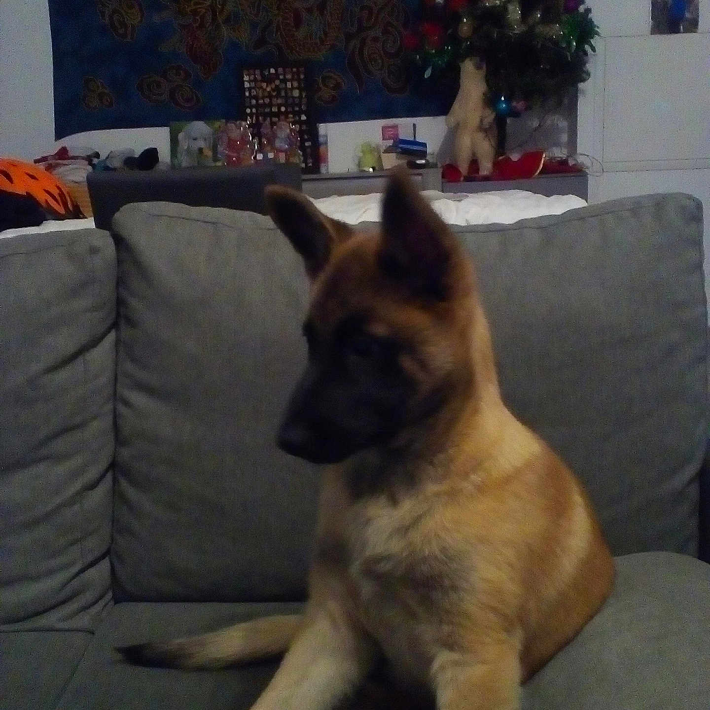 Filou