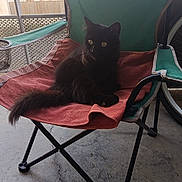 Ulysse participe au concours pour gagner de l'argent avec cette photo : cat, black_cat, fluffy, long_hair, yellow_eyes, sitting, lounging, animal, pet, chair, camping_chair, blanket, balcony, outdoor, urban, concrete_floor, window, relaxed, portrait, furniture