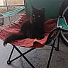 cat, black_cat, fluffy, long_hair, yellow_eyes, sitting, lounging, animal, pet, chair, camping_chair, blanket, balcony, outdoor, urban, concrete_floor, window, relaxed, portrait, furniture