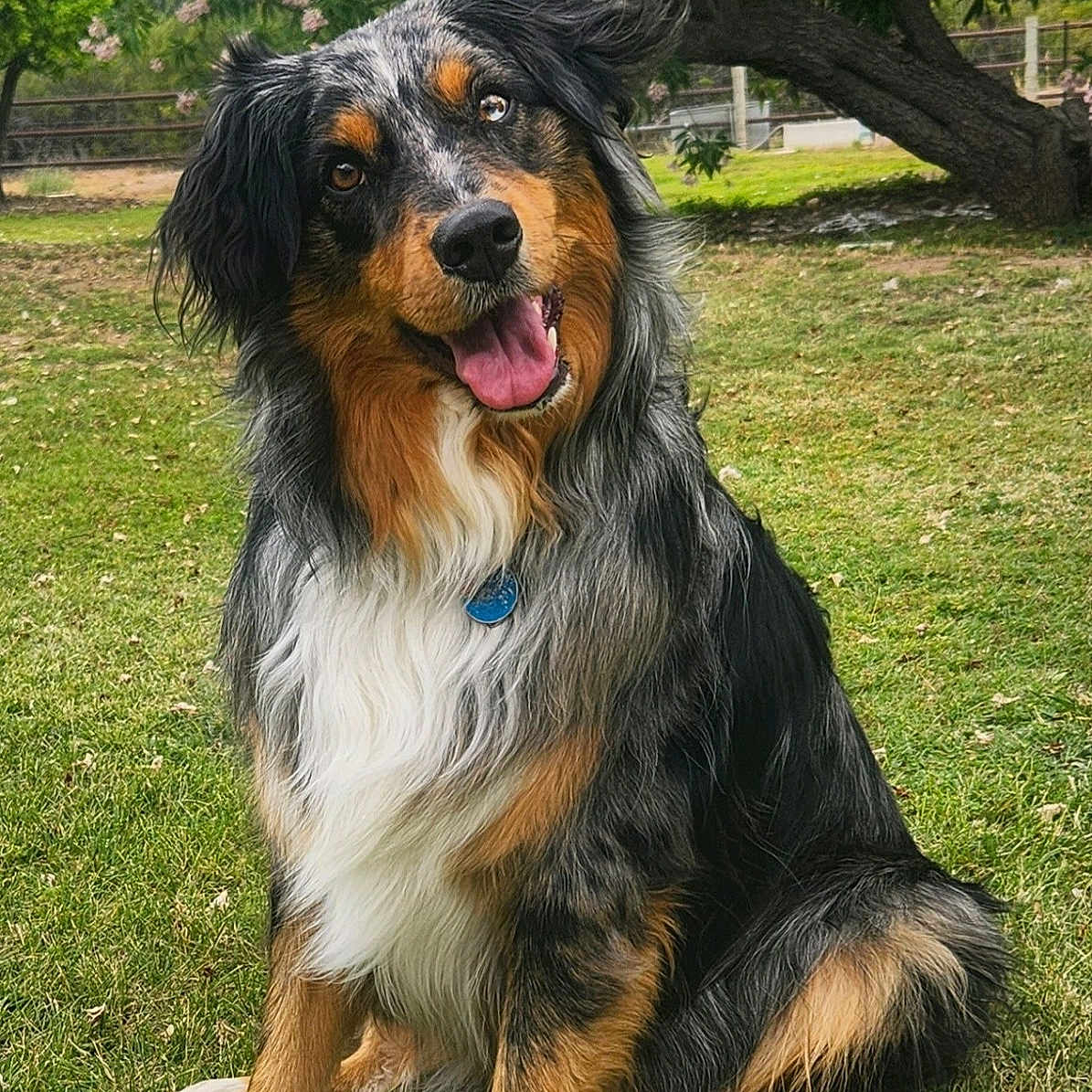 Ranger