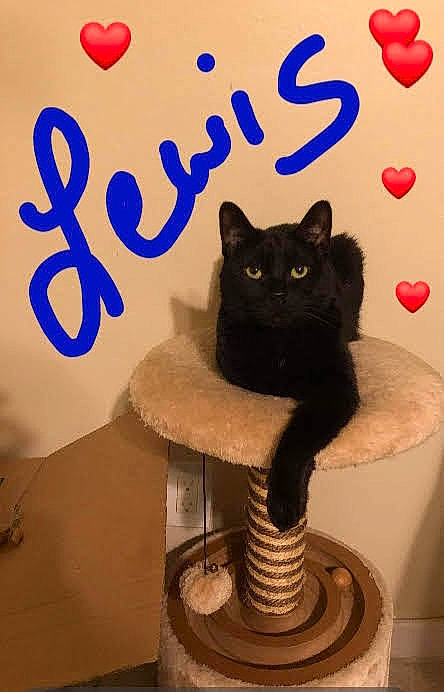 Lewis
