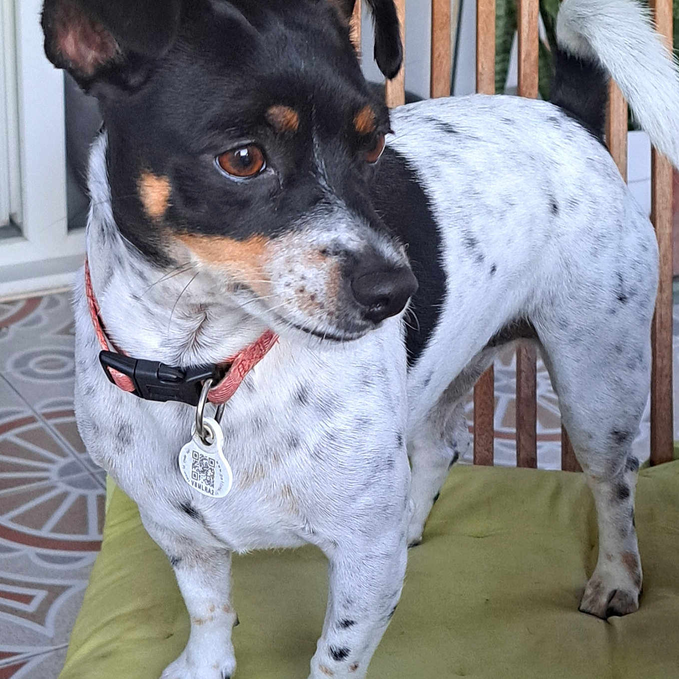 Sara
