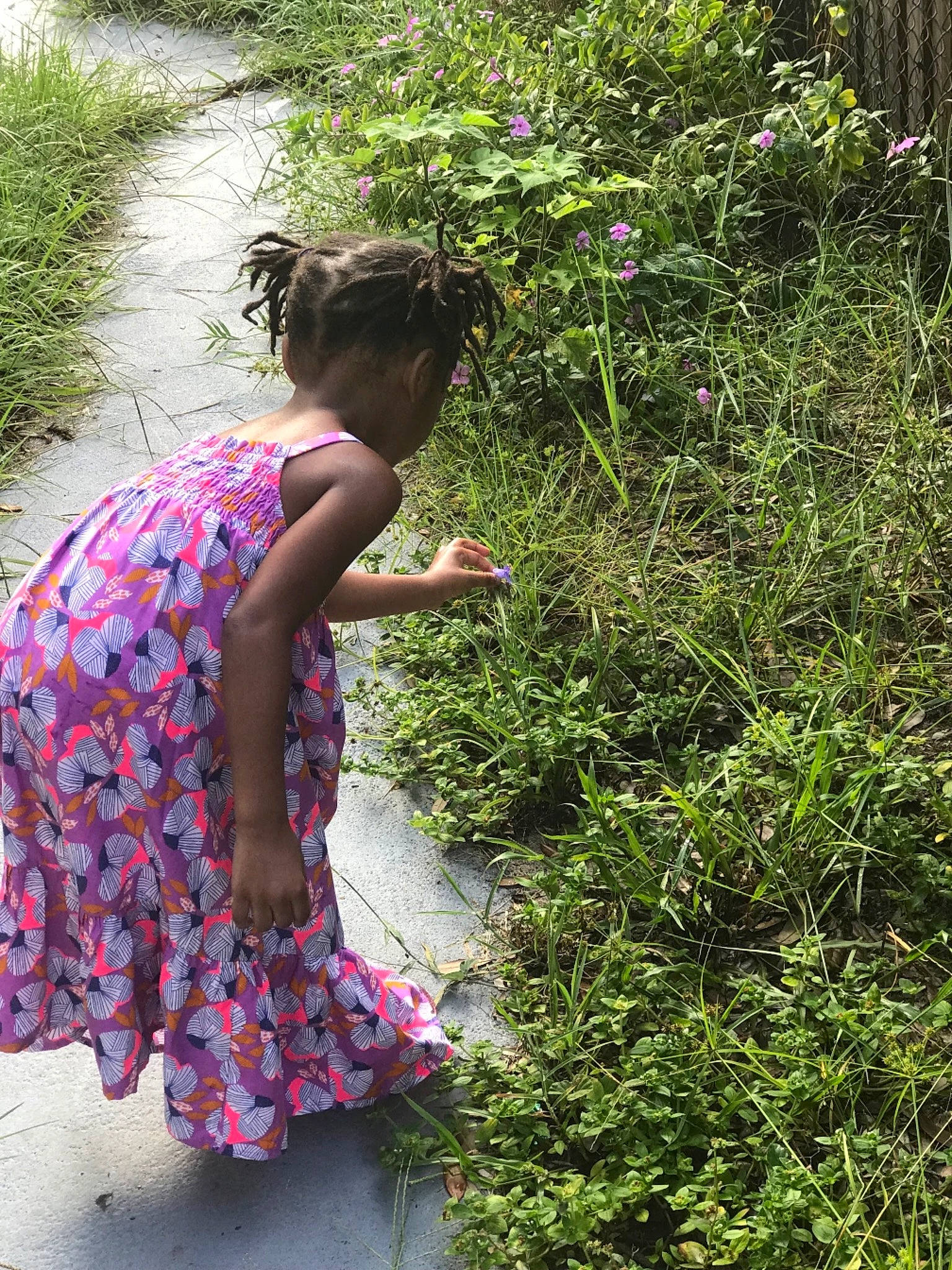 Anayah joined the competition — help win amazing prizes! adaptation, botany, child, dress, flower, garden, grass, leaf, magenta, pattern, person, pink, plant, shrub, spring, summer, textile, tree, under_exposed, vacation