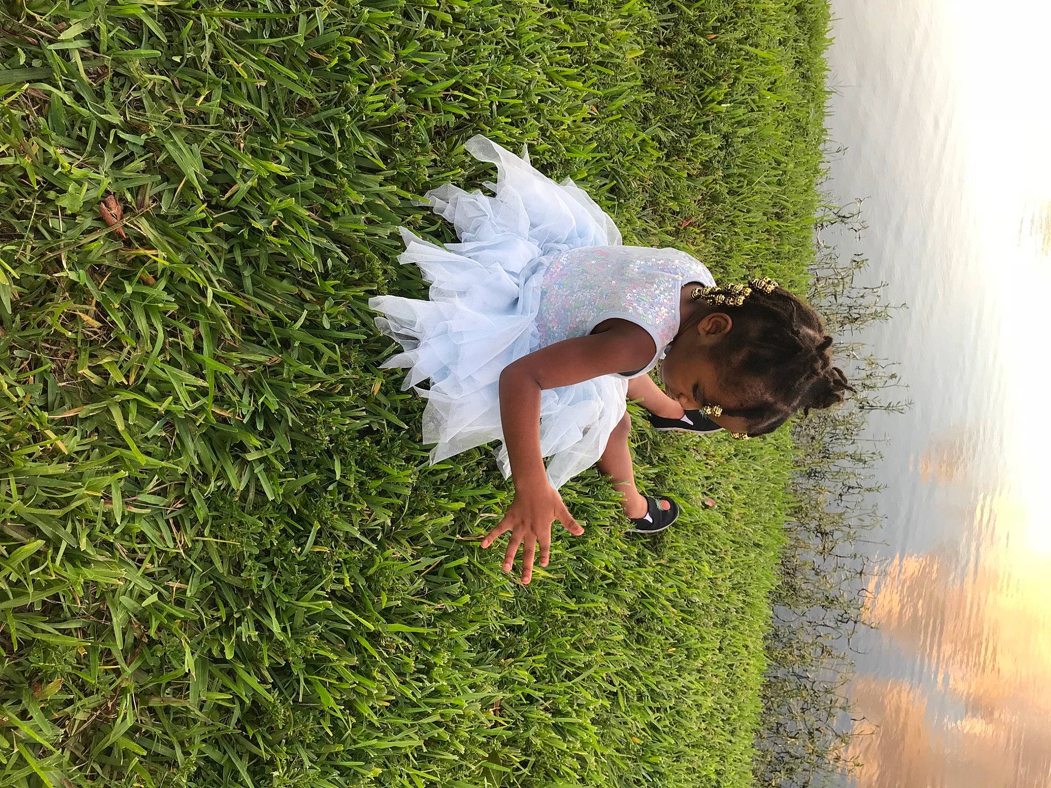 Anayah is registered to the contest to win money with this photo: bride, ceremony, dress, grass, grass_family, green, hand, happy, lawn, person, photography, plant, tree, wedding, wedding_dress