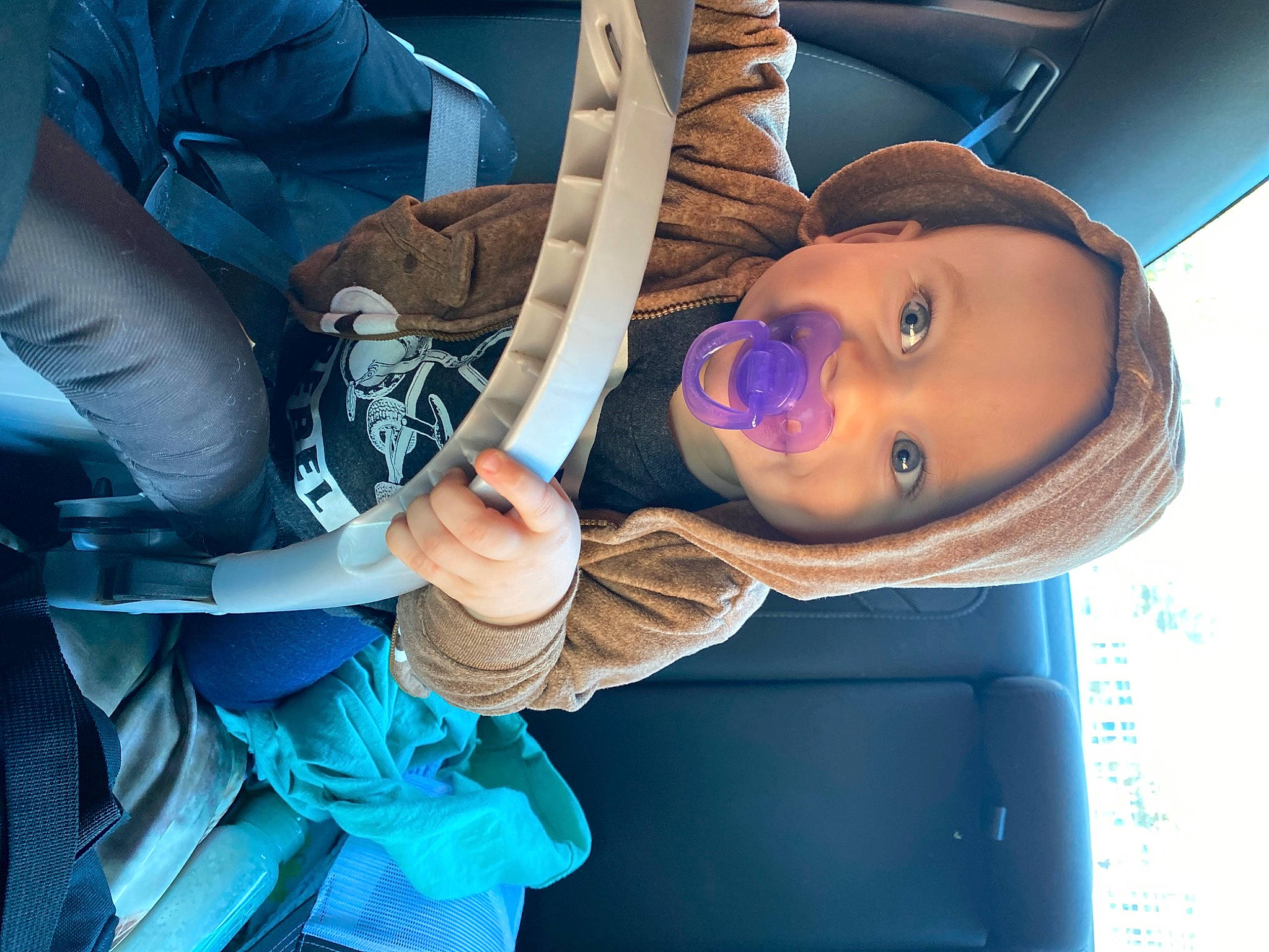 Marcel joined the competition — help win amazing prizes! cap, car_seat, curious, glove, person, safety_glove, seat_belt, shotgun, vehicle_door