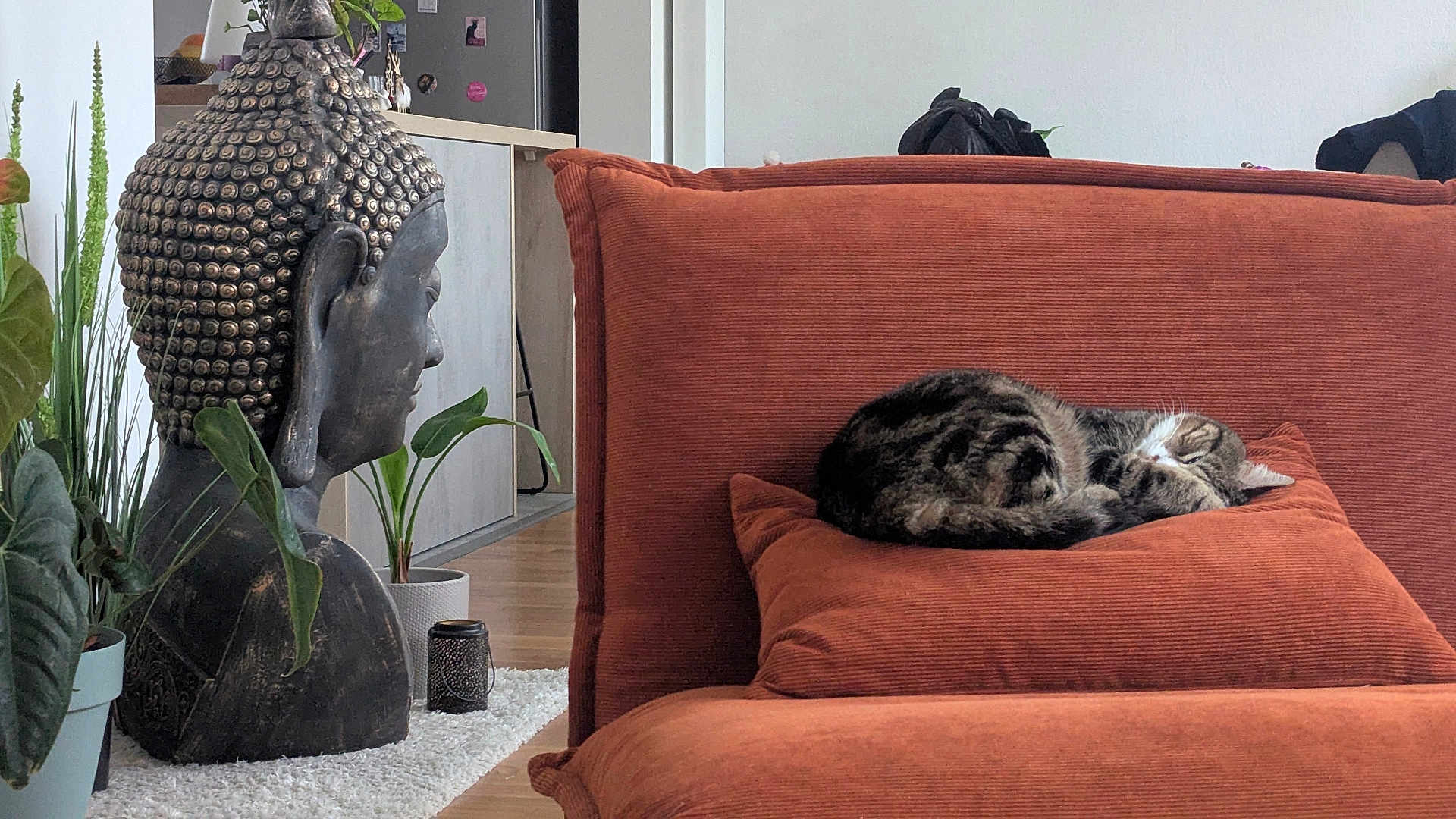 François Mari participe au concours pour gagner de l'argent avec cette photo : buddha, cat, couch, cozy, decor, fur, furniture, home, houseplant, indoor, living_room, ornament, peaceful, pillow, relaxing, resting, sleeping, statue, tabby, wooden_floor