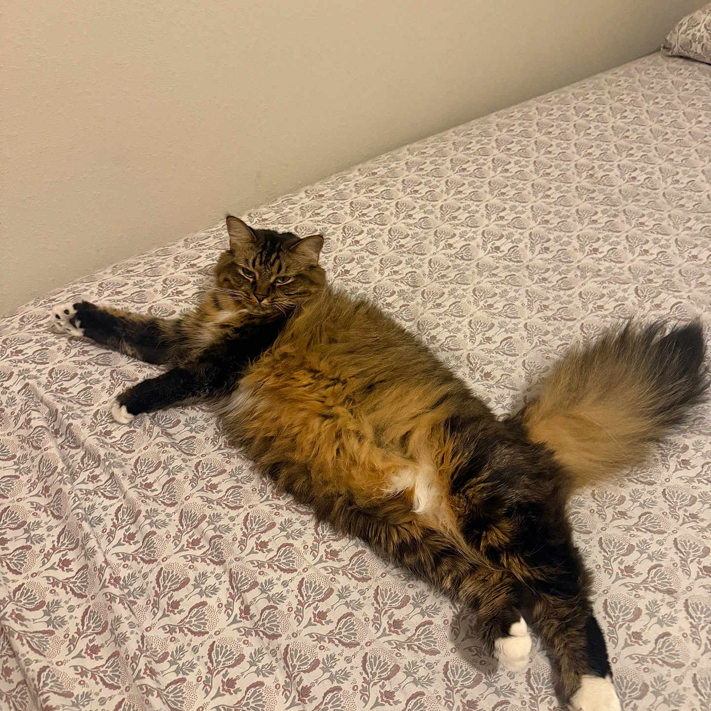 Kiki