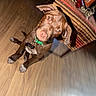 Moose is registered to the contest to win money with this photo: animal, brown_dog, chair, curious, cute, dog, dog_tag, flash_photography, green_collar, head_tilt, home, indoor, looking_at_camera, patterned_fabric, pet, portrait, puppy, white_chest, white_paws, wood_floor