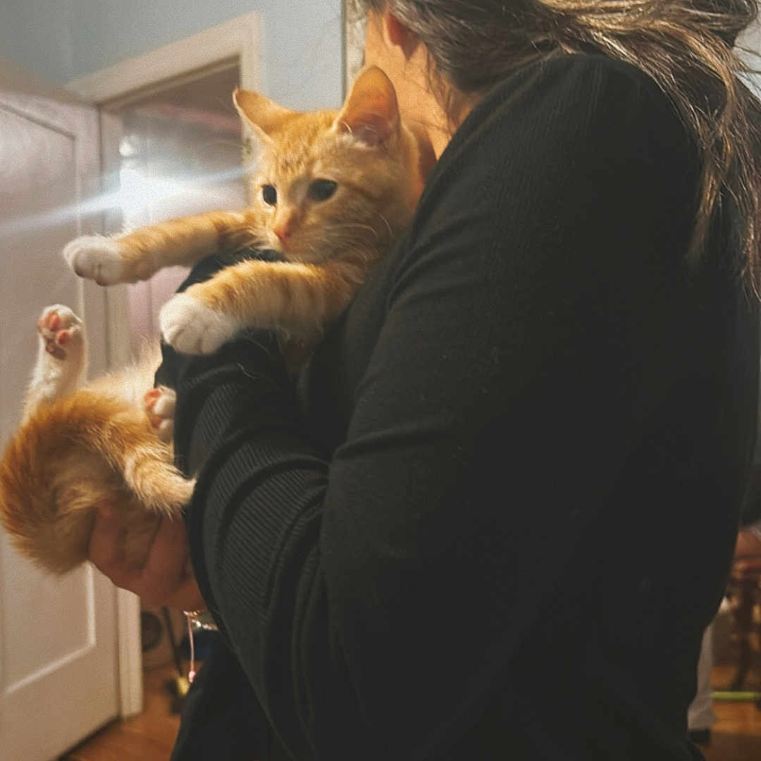 Nala