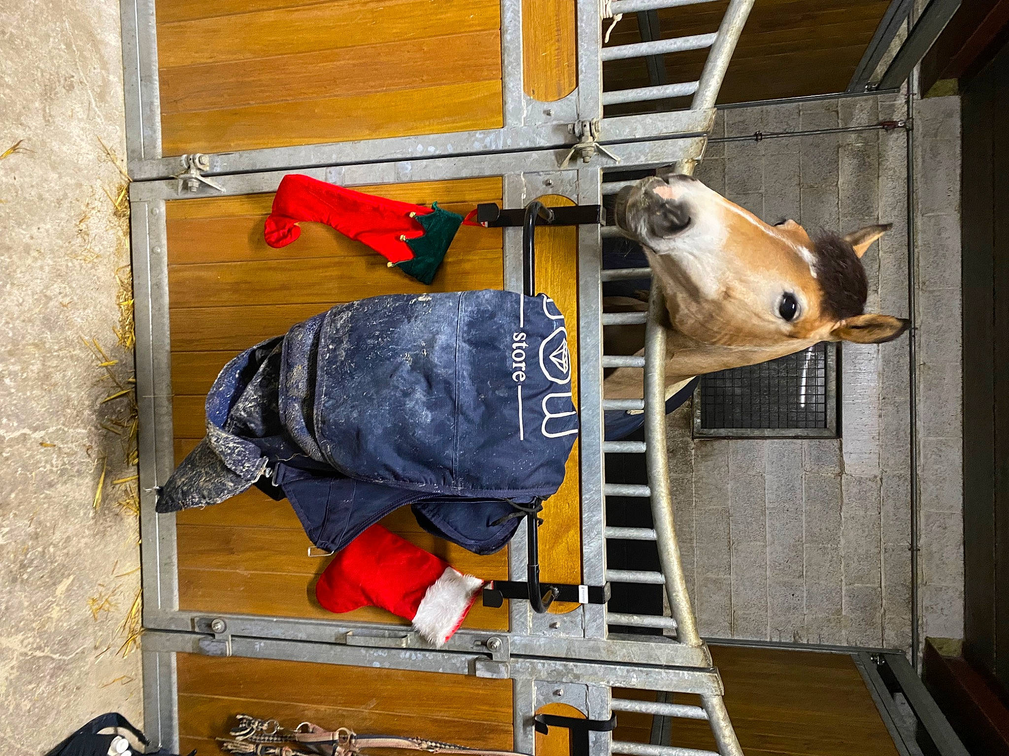 Roxane participe au concours pour gagner de l'argent avec cette photo : building, door, metal, room, wood, working_animal