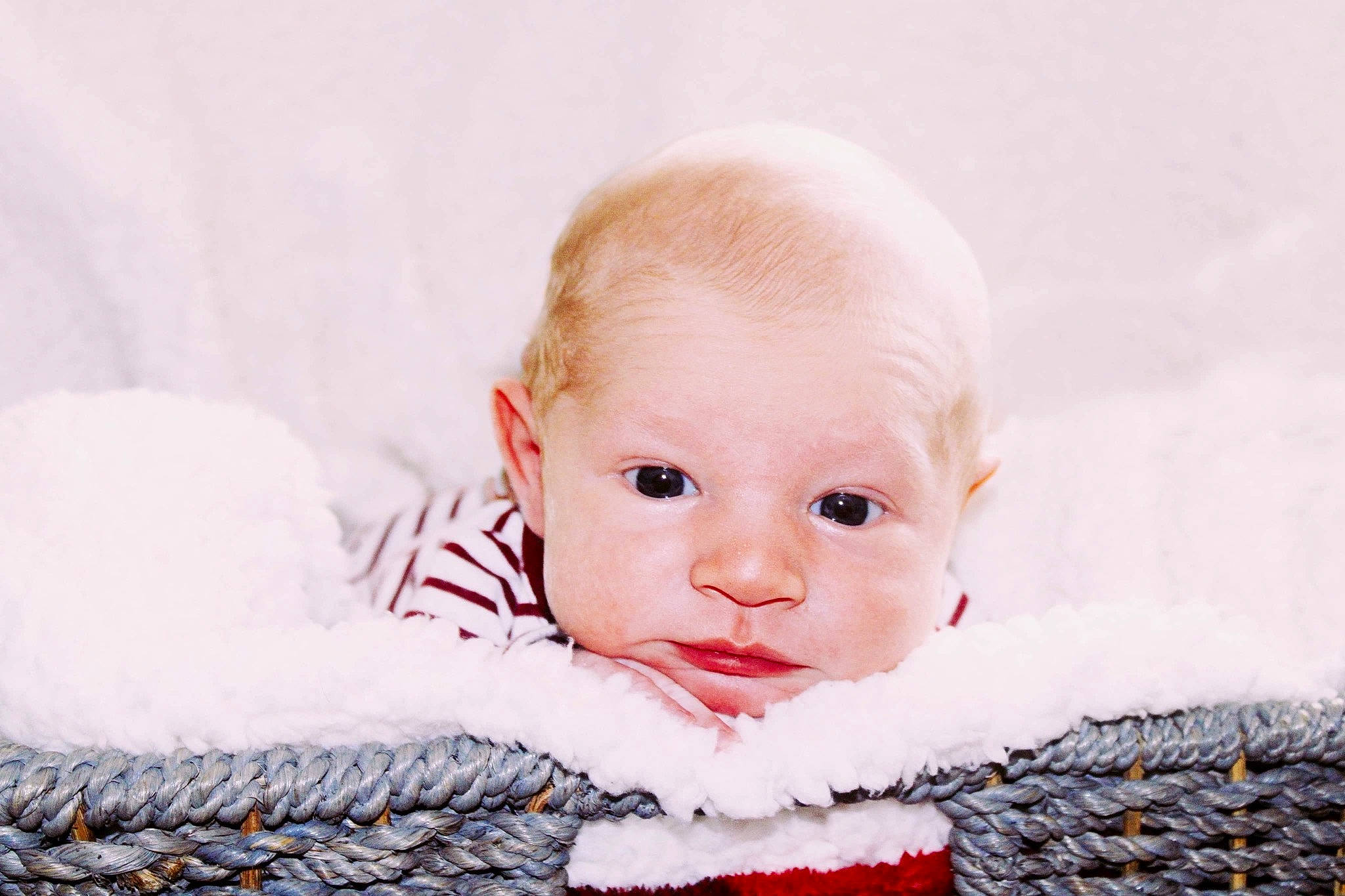 Milo is registered to the contest to win money with this photo: baby, baby_toddler_clothing, carmine, cheek, child, eye, fashion_accessory, flash_photography, fur, grass, happy, iris, lip, pattern, person, portrait_photography, sitting, sleeve, toddler, winter