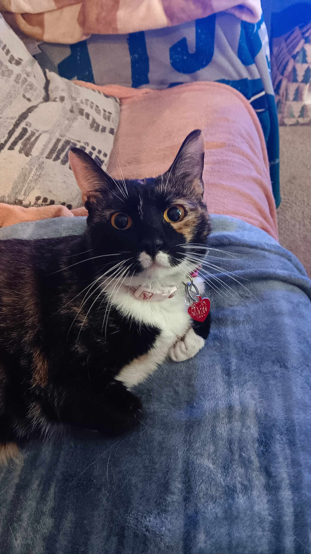 Marbles