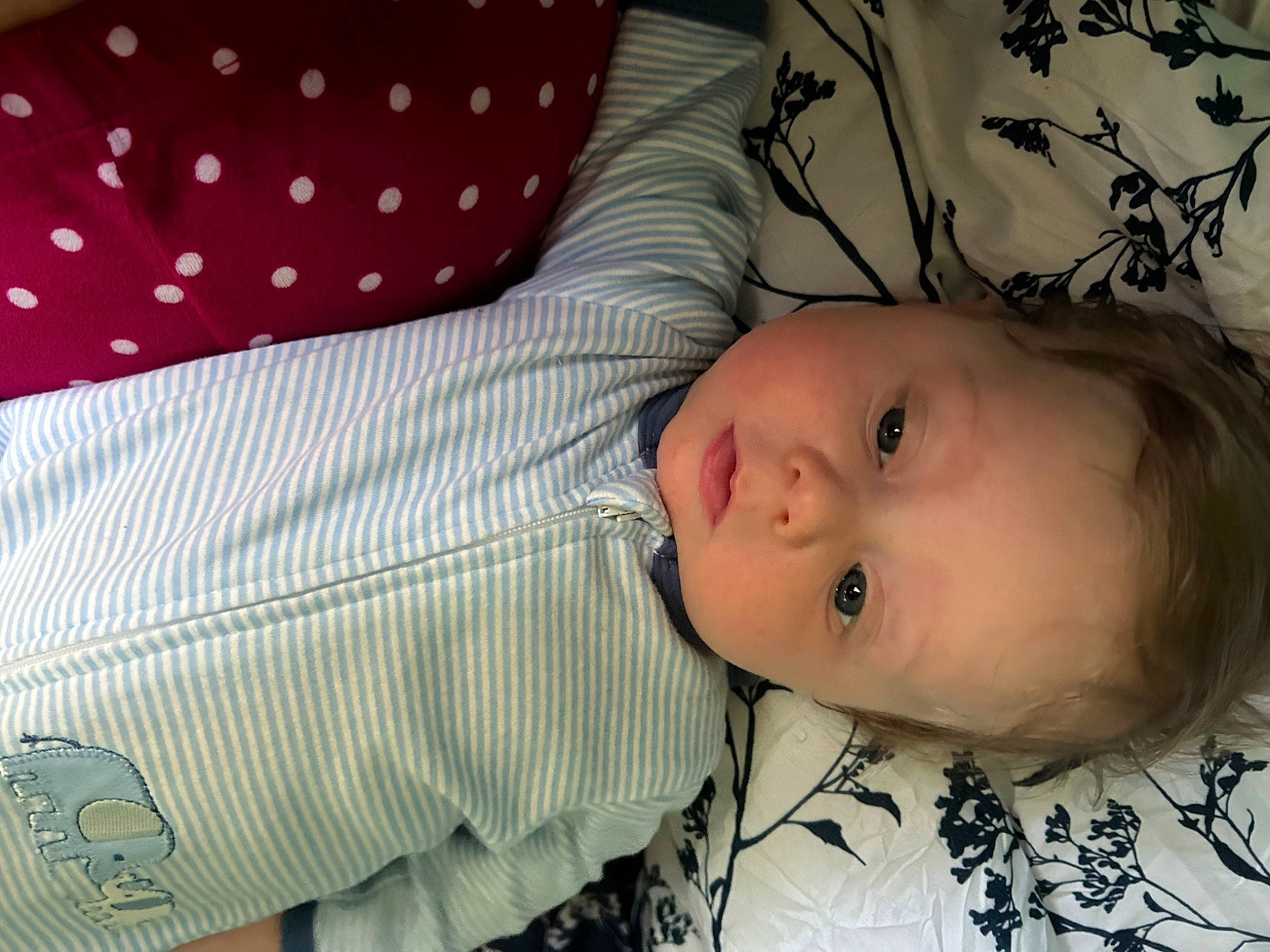 Hayden is registered to the contest to win money with this photo: baby, baby_toddler_clothing, cheek, child, comfort, eye, eyelash, head, iris, linens, lip, nose, pattern, person, sleeve, toddler