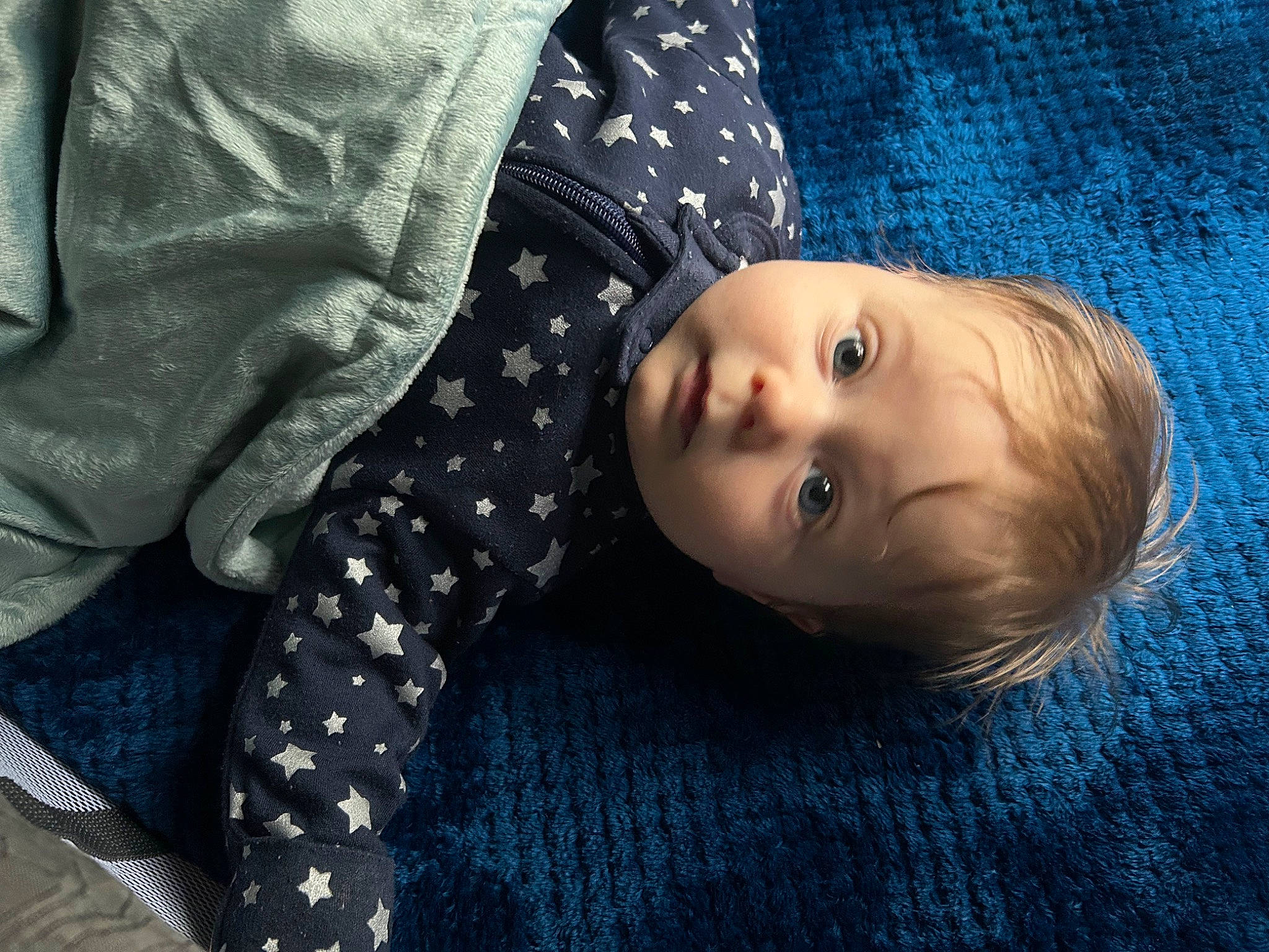 Hayden is registered to the contest to win money with this photo: baby, baby_toddler_clothing, child, collar, comfort, dress_shirt, electric_blue, face, flash_photography, fur, linens, nose, pattern, person, plaid, portrait_photography, skin, sleeve, tartan, textile