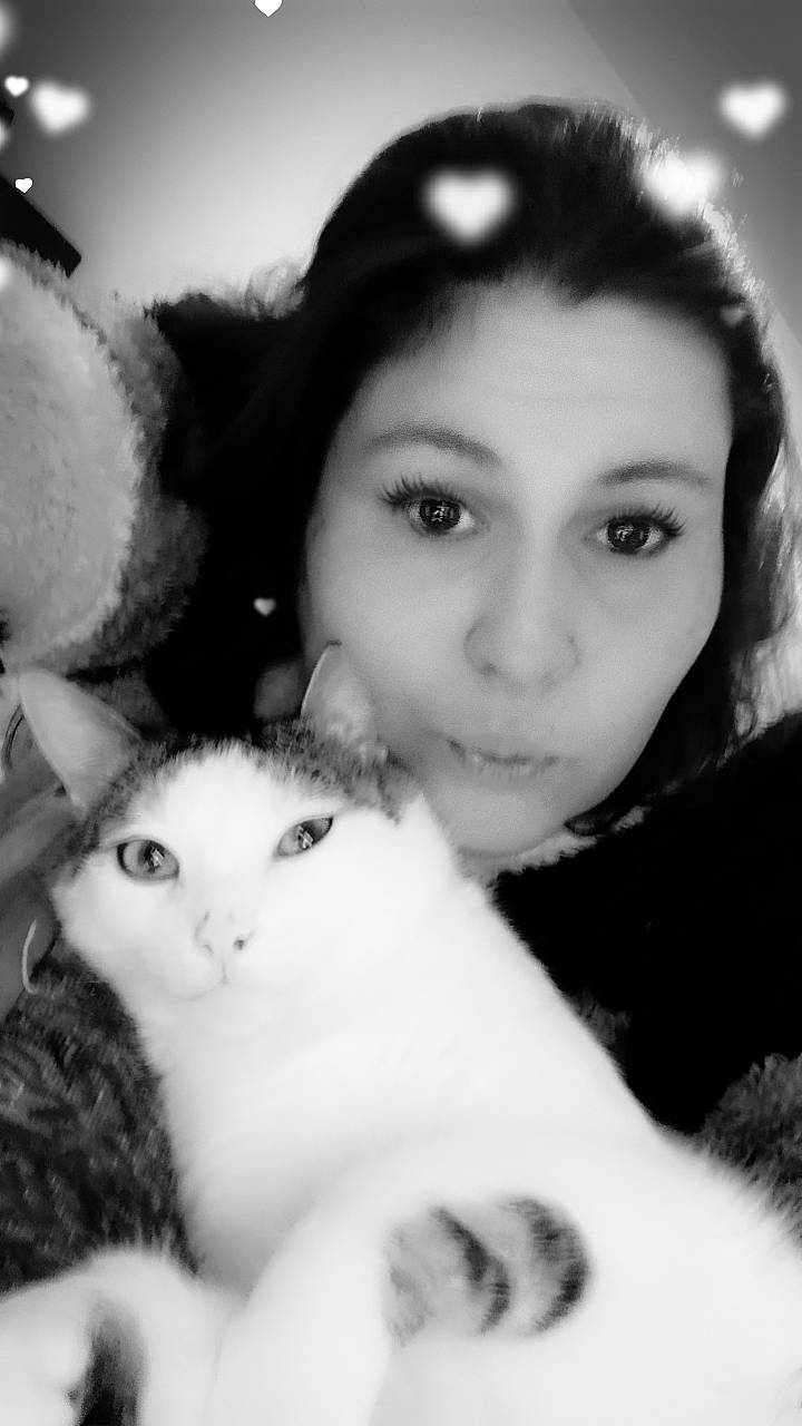 Gribouille a rejoint le concours — aidez-le/la à gagner de superbes lots ! black, black_and_white, carnivore, cat, cheek, ear, eye, eyebrow, eyelash, felidae, flash_photography, gesture, iris, jaw, lip, nose, organ, photograph, skin, style