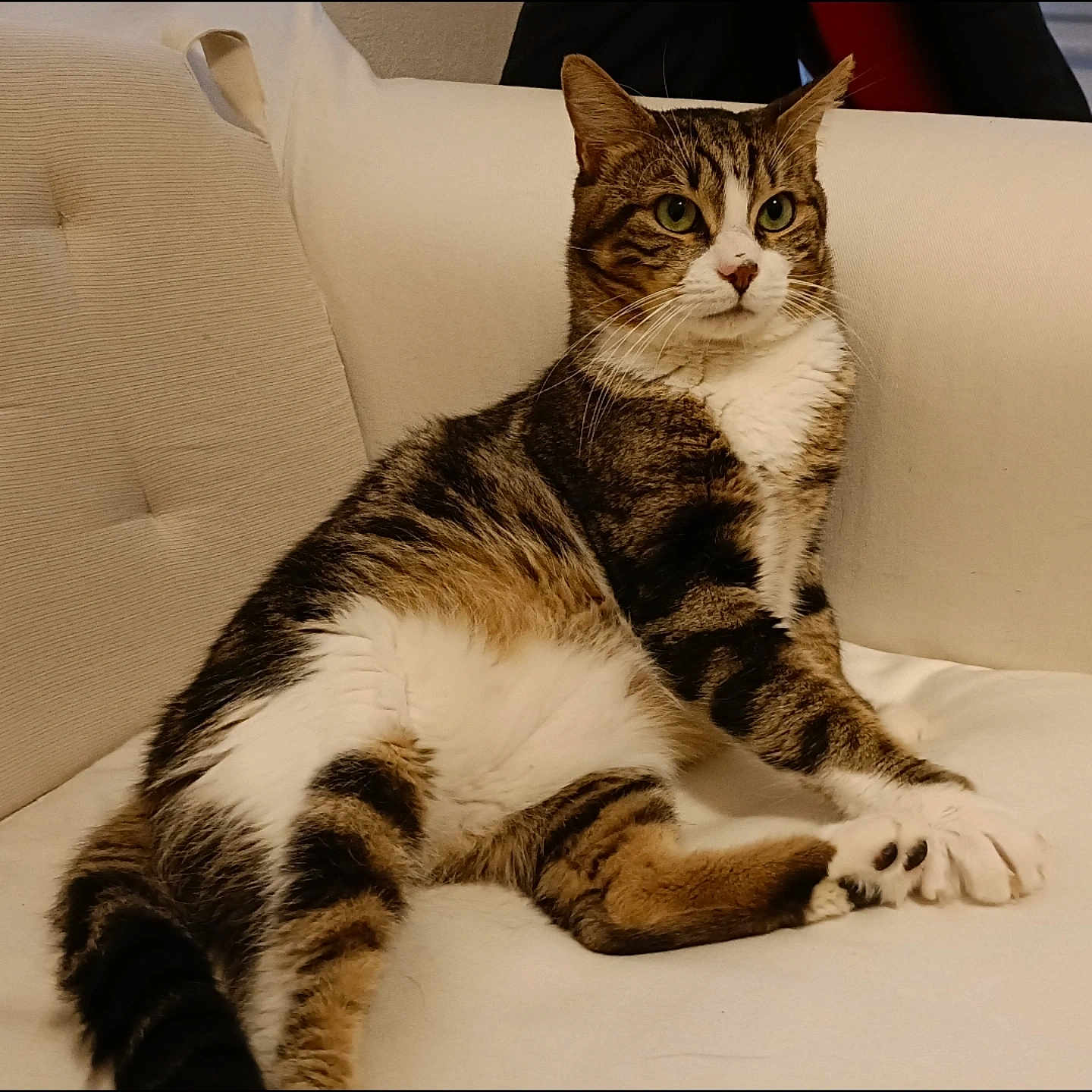 Rusty